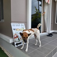 FOO Cafe Chiang Mai @ราชบุรี-เขางู