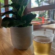 ไทม์เฮ้าท์ พระราม9