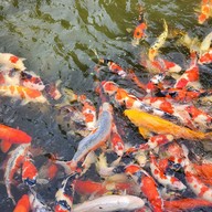 T Story แม่กำปอง แม่กำปอง