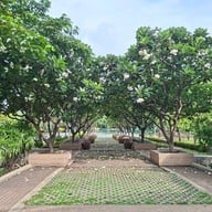 สวนวัชราภิรมย์