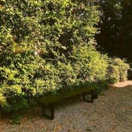 ธรรมชาติ บาร์