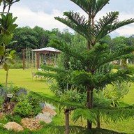 สวนหรรษาเขาใหญ่