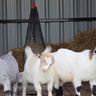 สวนหรรษาเขาใหญ่