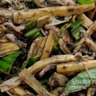 เมนู ครัวลาบเหนือ