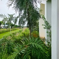 สวนหรรษาเขาใหญ่