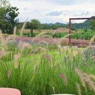 สวนหรรษาเขาใหญ่