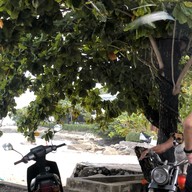 หาดในหาน