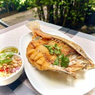 รถเสบียง อาหารไทย กับข้าว (Rosabieng Restaurant)อาหารไทย กับข้าว แกง ยำ ข้าว อาหารไทย กับข้าว แกง ยำ ข้าว