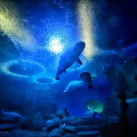 Underwater World