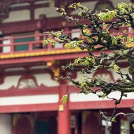 บรรยากาศ Dazaifu Tenmangu Shrine