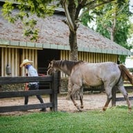 Rancho Charnvee Resort & Country Club, Khaoyai