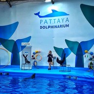 Pattaya Dolphinarium