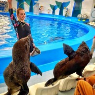 Pattaya Dolphinarium