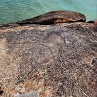 บรรยากาศ วัดเขาเก้าแสน