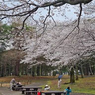 Beppu Park