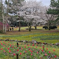 Beppu Park