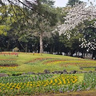 Beppu Park