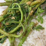 เจ๊ดาว ท่าน้ำราชวงศ์ -