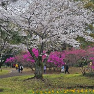 Beppu Park