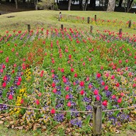 Beppu Park