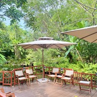 ตำนานป่าสวนน้ำ Norch Cafe