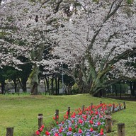 Beppu Park