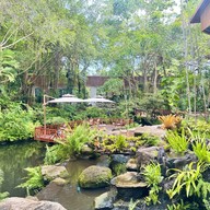 ตำนานป่าสวนน้ำ Norch Cafe