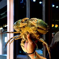 Ministry Of Crab Bangkok