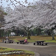 Beppu Park