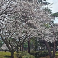 Beppu Park