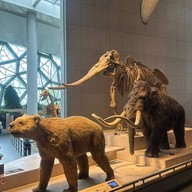 Shanghai Natural History Museum