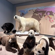 Shanghai Natural History Museum