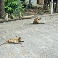 เขาหินเหล็กไฟ