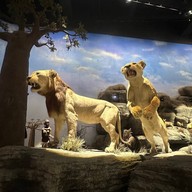 Shanghai Natural History Museum