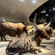 Shanghai Natural History Museum