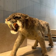 Shanghai Natural History Museum