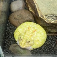 Shanghai Natural History Museum