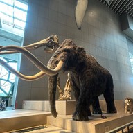 Shanghai Natural History Museum