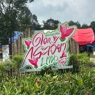 อุทยานแห่งชาติป่าหินงาม (ทุ่งดอกกระเจียว)