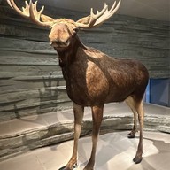 Shanghai Natural History Museum