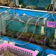 ดาตะวันซีฟู้ด ตลาดสดธนบุรี