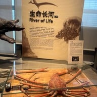 Shanghai Natural History Museum