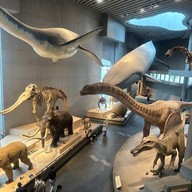 Shanghai Natural History Museum