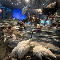 Shanghai Natural History Museum