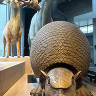 Shanghai Natural History Museum