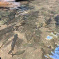 อุทยานแห่งชาติน้ำตกพลิ้ว