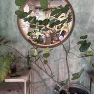 Piccolo Vicolo Cafe ราชเทวี