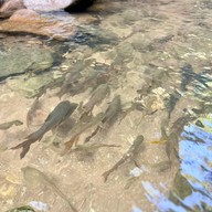 อุทยานแห่งชาติน้ำตกพลิ้ว