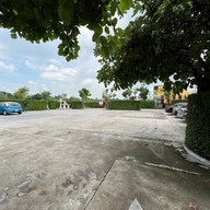 ลานนัว Zaab in the garden ลานนัว พัฒนาการ