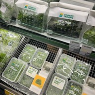 Mercato Gurney Plaza